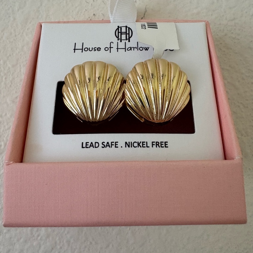 Textured shell shape earrings
